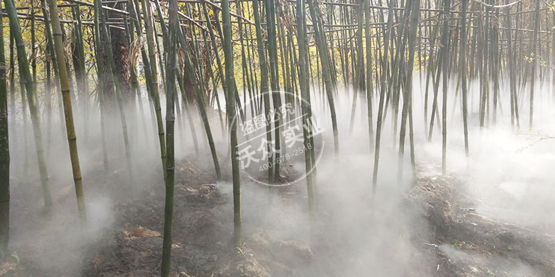 馬陵山二期瑤池仙境霧森項(xiàng)目